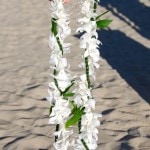 Open ti leaf lei with white orchid wrap around lei