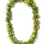 Single green orchid green lei