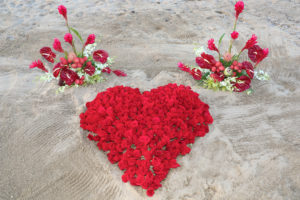 heart red roses Kauai proposal