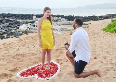 kauai proposal