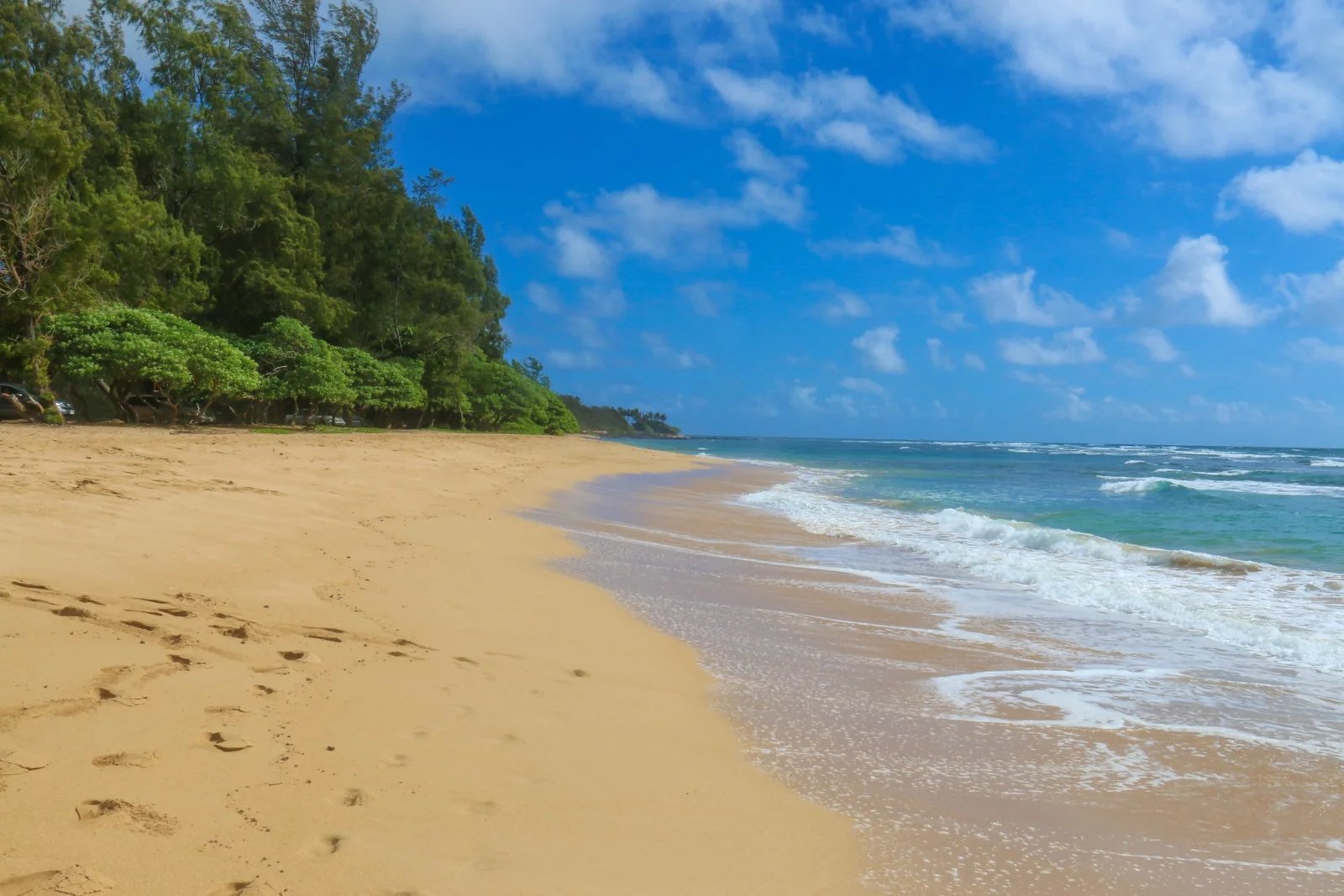 Kauai wedding photo location Anahola