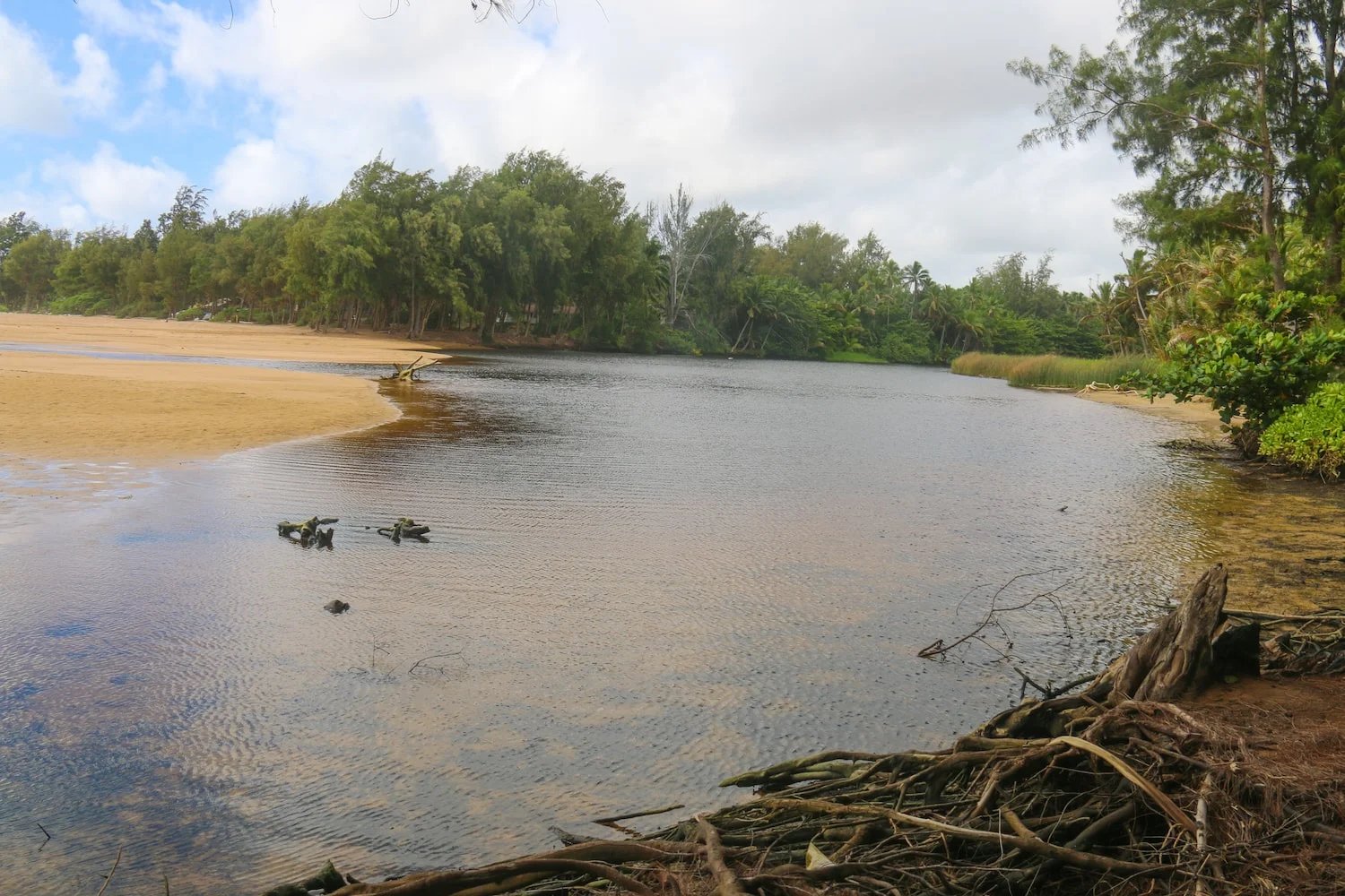 Kauai wedding photo location Anahola