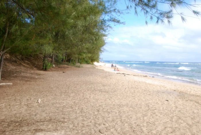 Kauai wedding photo location mahaulepu