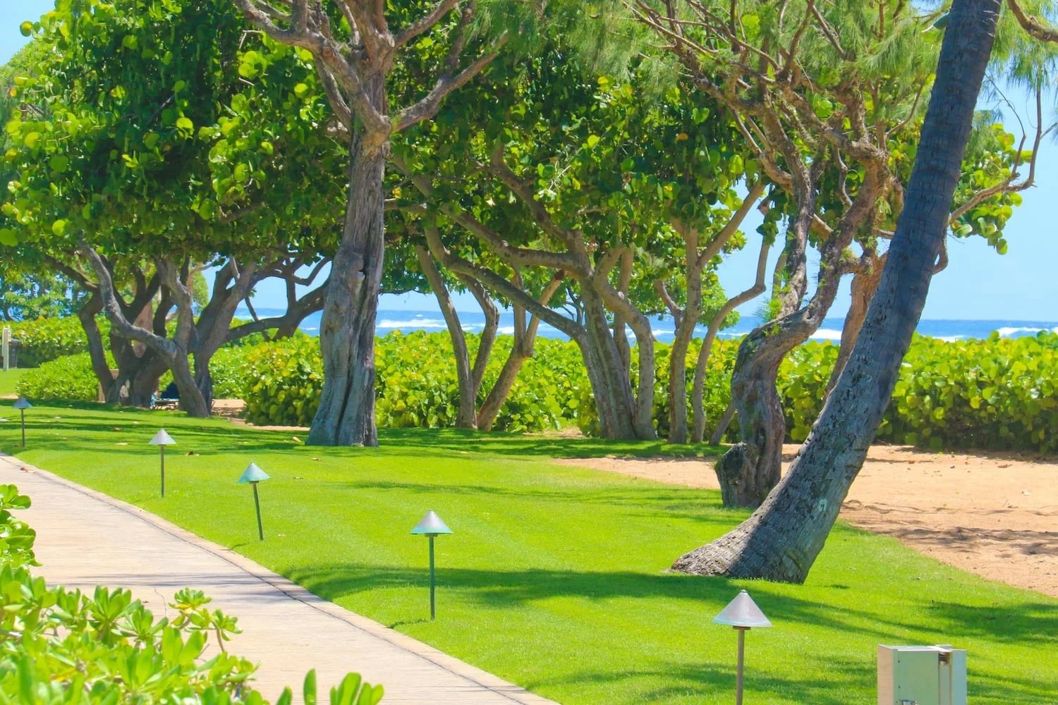 Waipouli Beach wedding photo location