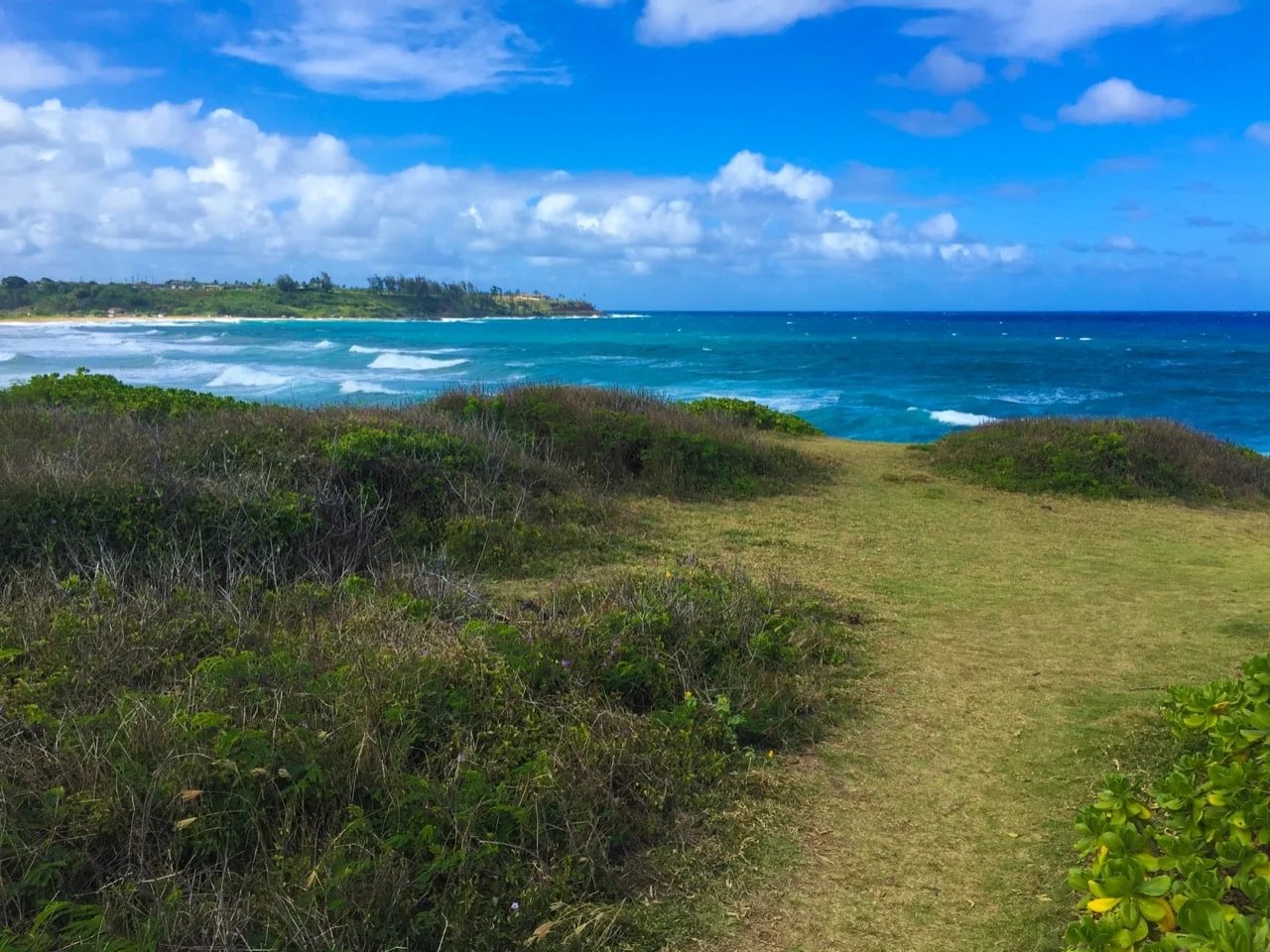 Kauai wedding photo location Kealia Bluff