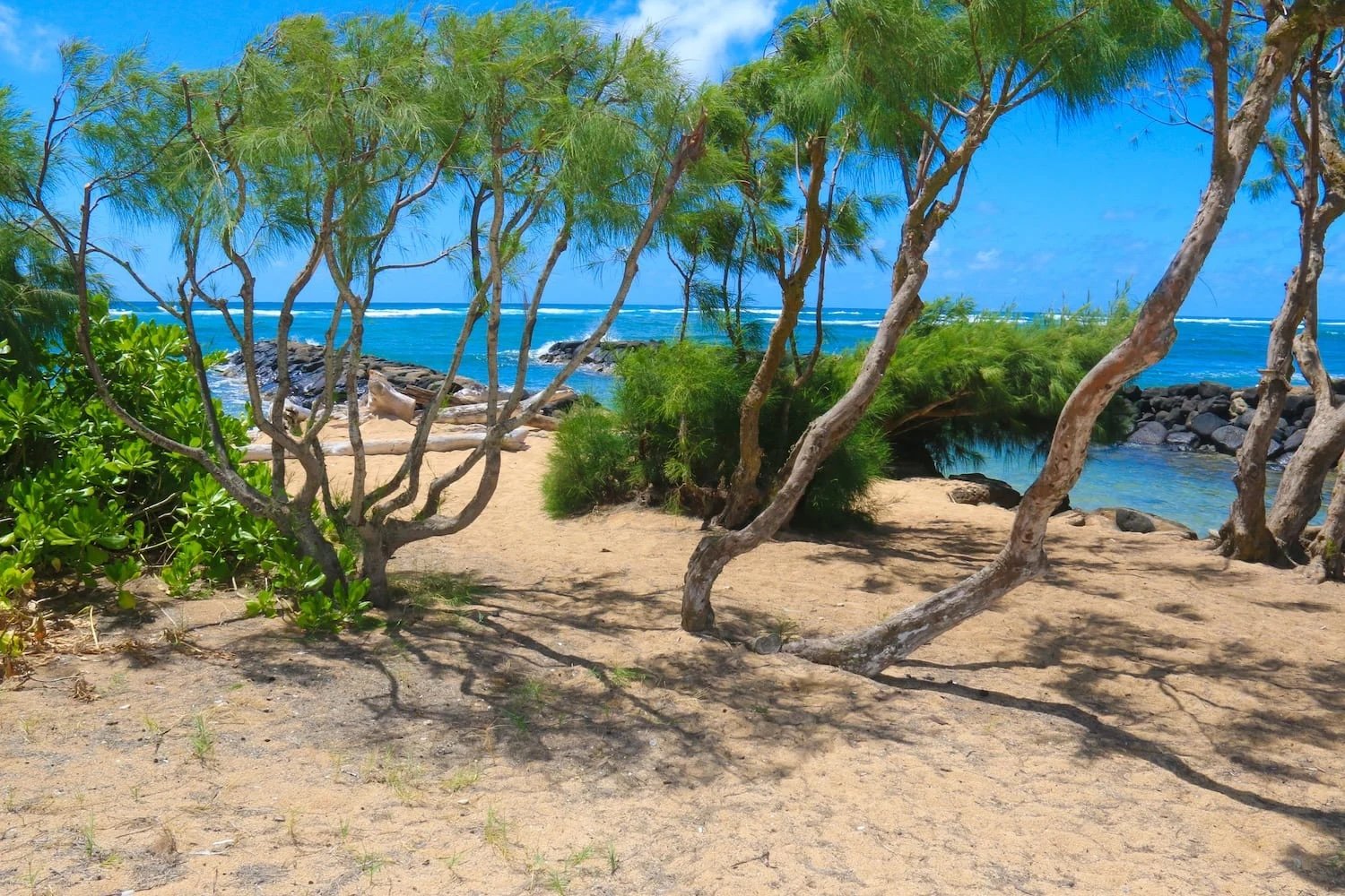 Waipouli Beach wedding photo location