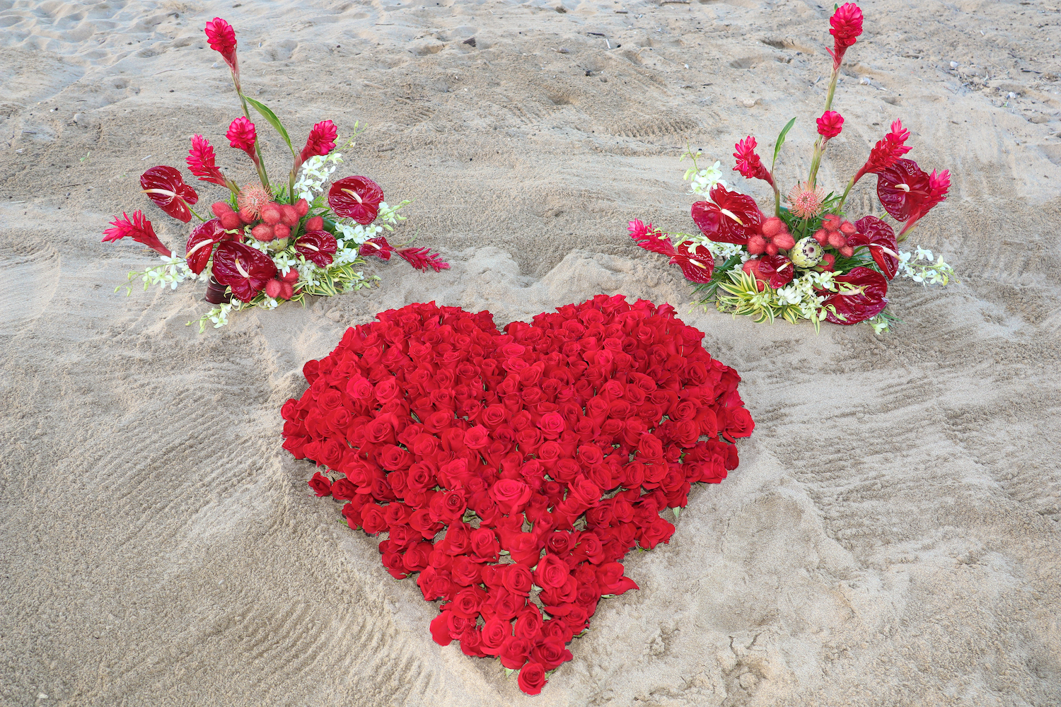 kauai proposal