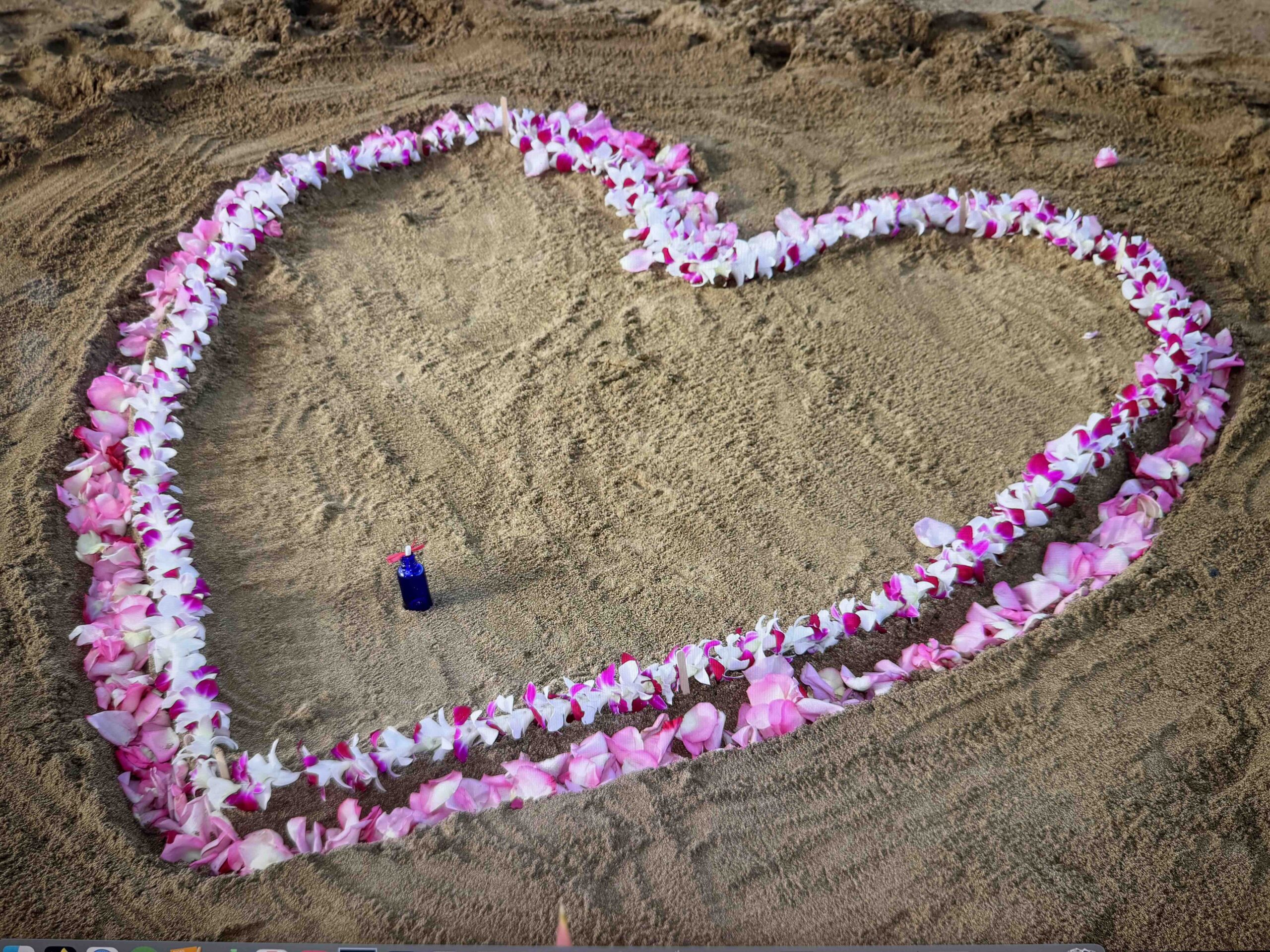 kauai proposal